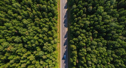 Aerial view of over forest land perfect asphalt highway road and meadow at sunny summer morning near green trees drone view forest sunset aerial view scene