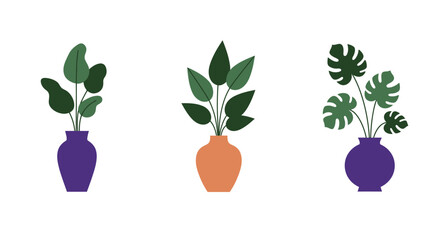 Three potted plants in vases a minimalist botanical illustration style