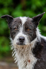  Eyes full of soul, caught in a quiet moment.