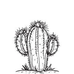 Cactus illustration in hand-drawn style
