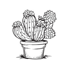 Cactus illustration in hand-drawn style