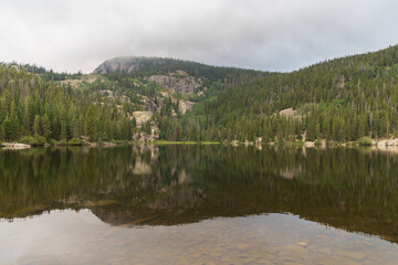 reflection of trees in the lake
