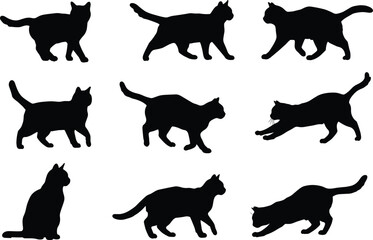 Cat silhouette vector, walking cat illustration, sitting feline artwork, stretching pet design, black cat posture, domestic animal shape, playful cat graphic art