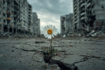 Resilient daisy bravely blooms through cracked concrete amidst urban destruction, symbolizing hope and new beginnings in a desolate landscape