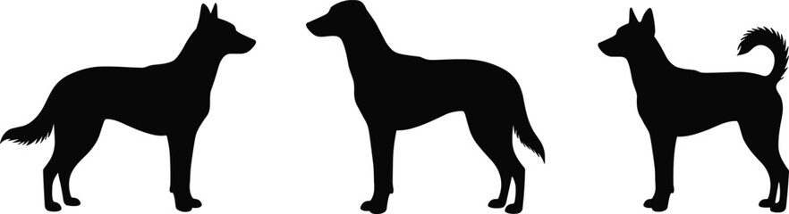 Three dog silhouettes, pet animal vector, canine breed illustration for dog lovers, art, and design projects