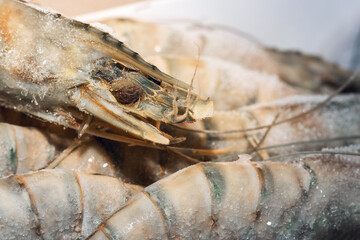 Frozen raw shrimp photographed close-up.