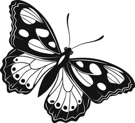 Black Butterfly Outline with White Intricate Wing Patterns on White Background Simplistic Graphic Design