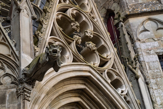 Gothic gargoyles of Carcassonne