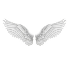 Obraz premium Majestic white angel wings soaring to new heights of creativity and design
