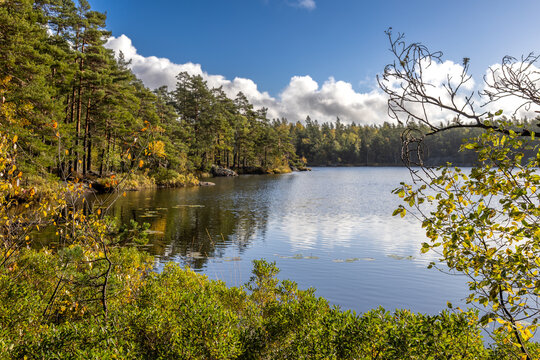 Calm Lake Beneath a Golden Autumn Canopy