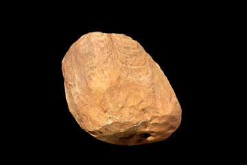 Monocraterion, a Trace Fossil of an extinct wormlike Creature from the Lower Cambrian, found in Lower Lusatia, Germany
