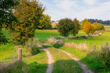 Autumn landscape of hilly countryside of Zuid-Limburg with small gravel footpath or trail in between the farmland, Epen is a village in the southern part of the Dutch province of Limburg, Netherlands.
