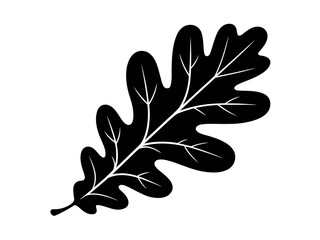 Vector art of silhouette of an oak leaf, showcasing its distinct shape and venation