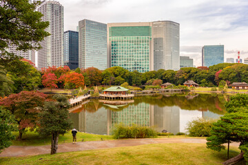 Fototapeta premium Hamarikyu gardens with Shiodome skyscrapers at background in autumn, Tokyo, Japan