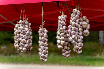 Garlic bulbs hanging under a red canopy at a traditional farmers’ market in Estonia.