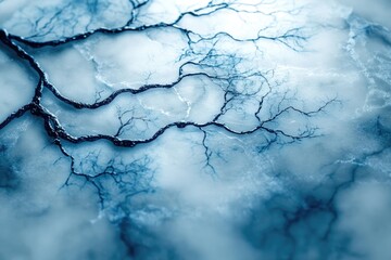 Intricate dark branches resembling frozen veins or roots spread across a frosty, ethereal blue and white abstract background, evoking a cold, organic beauty.