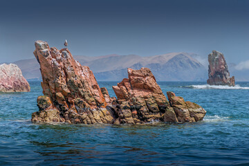 Rock in the ocean at Ballestas island in Paracas, seastars and seagull on the rock 