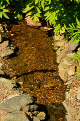 strumyk płynacy miedzy kamieniami, a small and narrow stream flowing between the stones