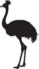 Silhouette of a tall, feathered bird standing, with a long neck and legs