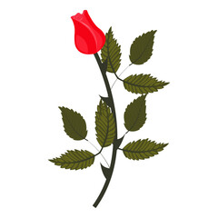 Bright red rose. Bud on a curved stem. Vector illustration isolated on a white background.