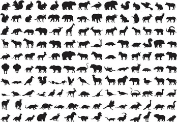 Silhouette animal collection with mammals, birds, reptiles, amphibians, wildlife taxonomy, zoological illustration, environmental design, nature art, educational reference