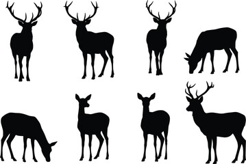 Silhouette deer collection with antler variations, wildlife poses, zoological illustration, animal taxonomy, environmental design, biodiversity reference, nature art