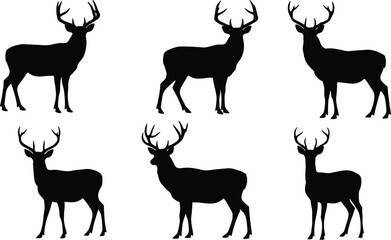 Silhouette deer collection with antler variations, wildlife poses, zoological illustration, animal taxonomy, environmental design, biodiversity reference, nature art