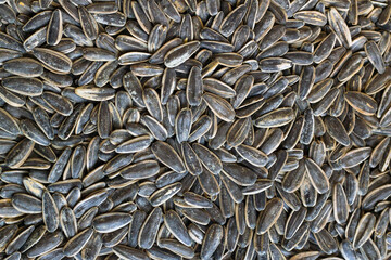 Fresh,crispy roasted salted sunflower seeds background