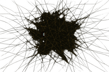 Tangled dark roots or thorny branches forming an abstract menacing nest on transparent background