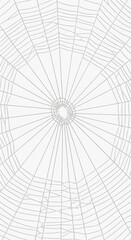 Obraz premium Detailed close-up of a spiderweb, showcasing radial and spiral threads, creating a geometric pattern, symbolizing patience, creation, and nature's artistry