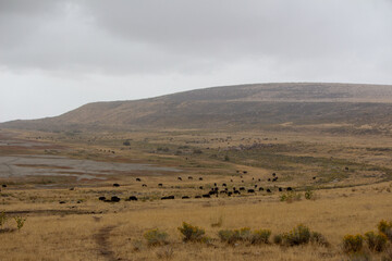 Antelope Island State Park