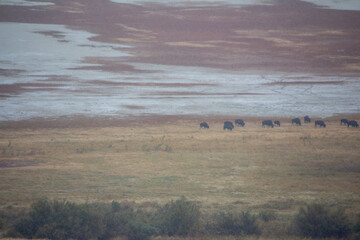 Antelope Island State Park