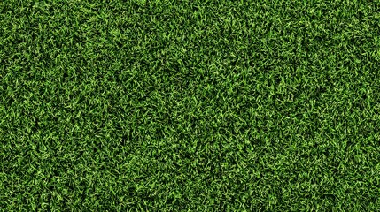 Dense Green Vegetative Texture Against Black Background Displaying Organic Pattern