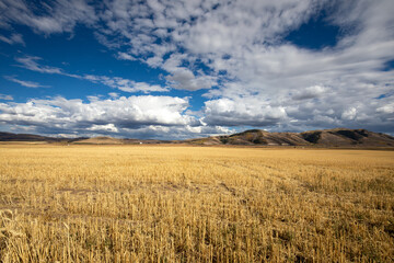 Idaho Landscape