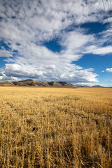 Idaho Landscape