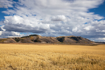 Idaho Landscape