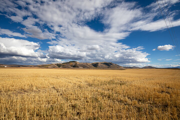 Idaho Landscape