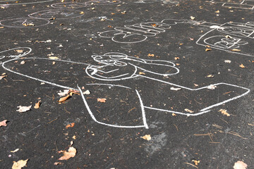 Chalk Drawing of Dog in Airplane on Autumn Asphalt Pavement