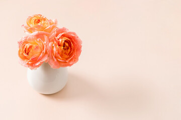 Delicate peach roses in a white vase on a soft pastel background. Minimal floral still life creating a calm and romantic mood, perfect for greeting cards, posters, and interior decoration.