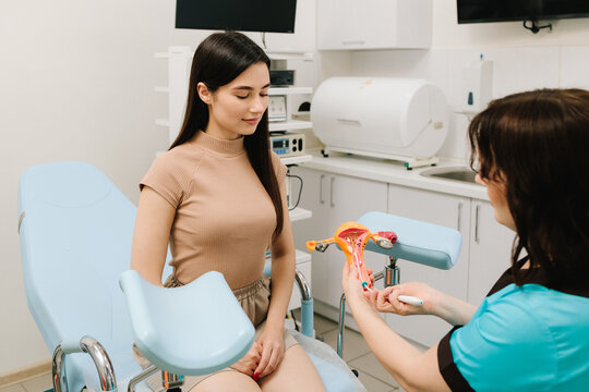 Gynecologist demonstrates contraceptive IUD insertion through cervical canal. Process of IUD placement on uterus model. Gynecologist demonstrates intrauterine device IUD insertion using uterus model.