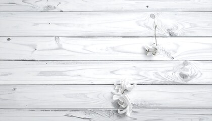 White wood planks with dried flowers