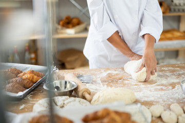 Cute doughs arranged on table in light bakery with close-up of female hands skillfully kneading dough at food production line