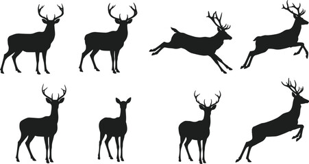 Silhouette deer collection with antler variations, standing and leaping poses, wildlife illustration, zoological taxonomy, animal reference, nature art