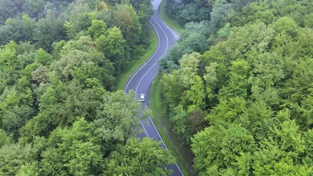 Aerial follow of white electric car driving on winding road in green eco forest environment