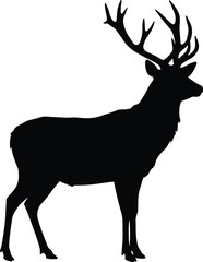 deer, stag, buck, antlers, wildlife, mammal, fauna, species, silhouette, nature, zoology, ecology, design