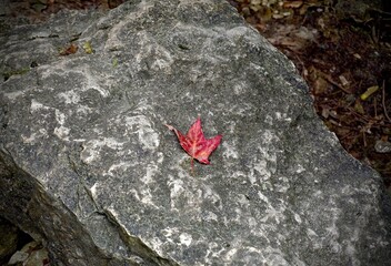 red heart on stone