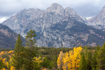 Grand Teton National Park