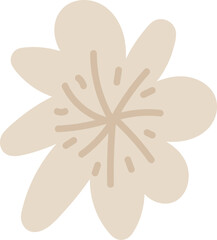 Abstract Floral Shape