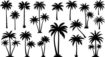 Diverse Tropical Palm Tree Silhouettes Vector Collection. Black and white, various shapes, sizes, and clusters for summer, beach, travel, and vacation designs.