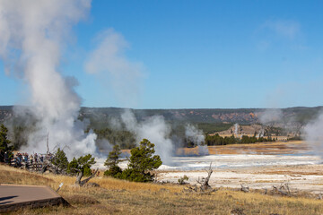 Yellowstone National Park
